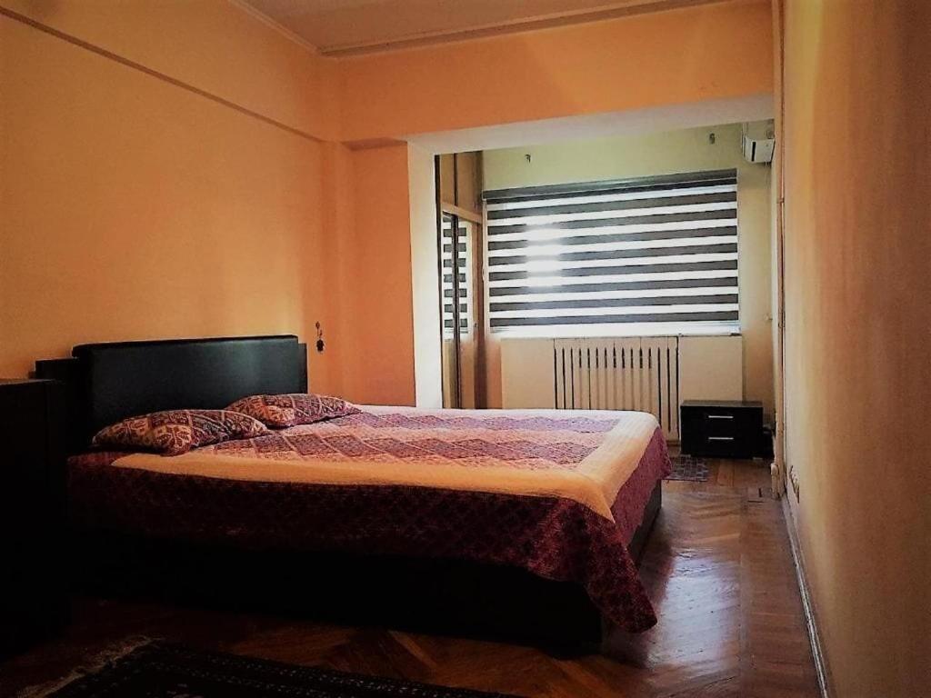 Spacious And Cozy ทาชเคนต์ ภายนอก รูปภาพ